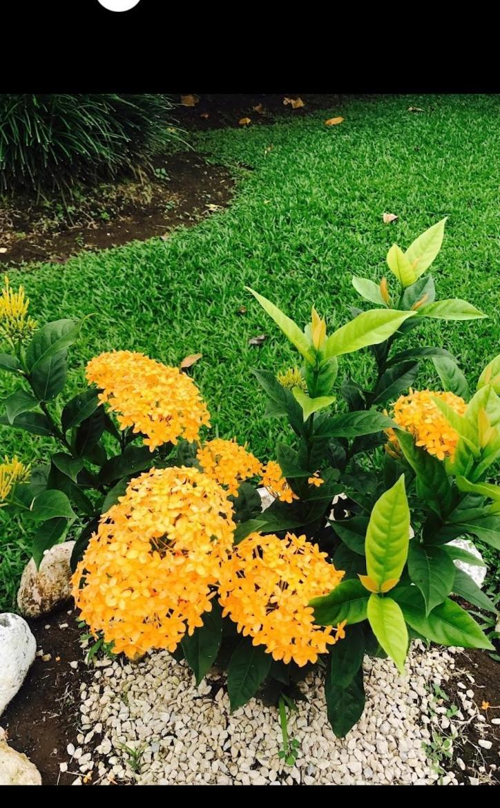 Hotel Befox Adventure La Fortuna Exterior foto