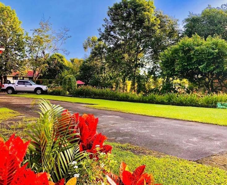 Hotel Befox Adventure La Fortuna Exterior foto