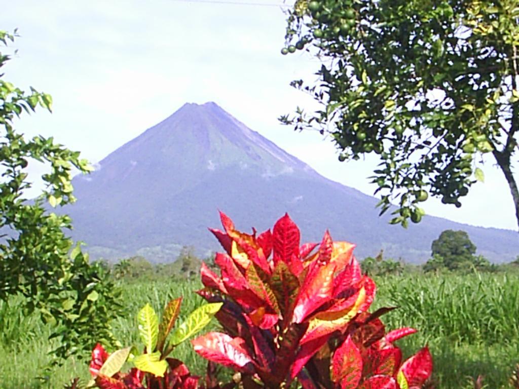 Hotel Befox Adventure La Fortuna Exterior foto